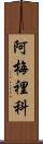 Americo Scroll