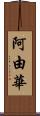 阿由華 Scroll