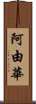 阿由華 Scroll