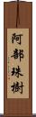 阿部珠樹 Scroll