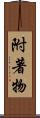 附著物 Scroll