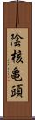 陰核亀頭 Scroll