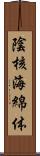陰核海綿体 Scroll
