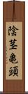 陰茎亀頭 Scroll