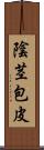 陰茎包皮 Scroll