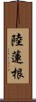 陸蓮根 Scroll