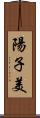 陽子美 Scroll