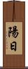 陽日 Scroll
