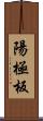 陽極板 Scroll