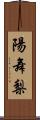 陽舞梨 Scroll