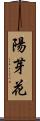 陽芽花 Scroll