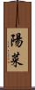 陽菜 Scroll