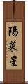 陽菜星 Scroll
