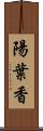 陽葉香 Scroll