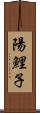 陽鯉子 Scroll