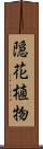 隠花植物 Scroll