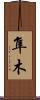 隼木 Scroll