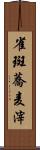 雀斑 Scroll