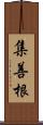 集善根 Scroll