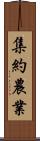 集約農業 Scroll