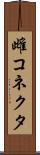雌コネクタ Scroll