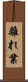 離れ業 Scroll