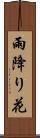 雨降り花 Scroll