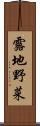 露地野菜 Scroll