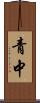 青中 Scroll