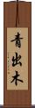 青出木 Scroll