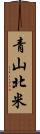 青山北米 Scroll