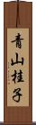 青山桂子 Scroll