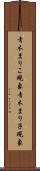 青木まりこ現象 Scroll