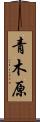 青木原 Scroll