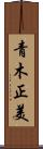 青木正美 Scroll