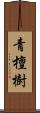 青檀樹 Scroll