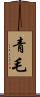 青毛 Scroll