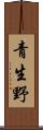 青生野 Scroll