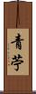 青苧 Scroll