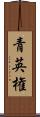 青英権 Scroll