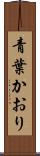 青葉かおり Scroll