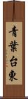 青葉台東 Scroll