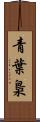 青葉梟 Scroll