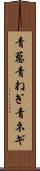 青葱 Scroll