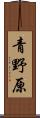 青野原 Scroll