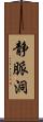 静脈洞 Scroll
