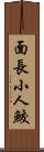 面長小人鮫 Scroll