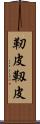 靭皮 Scroll