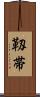 靱帯 Scroll