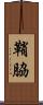 鞘脇 Scroll